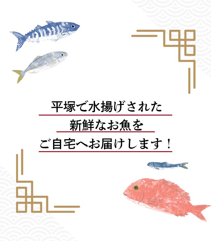平塚で水揚げされた新鮮なお魚をご自宅へお届けします