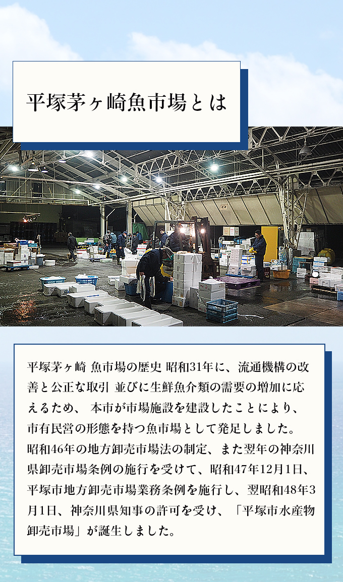 平塚茅ヶ崎魚市場とは